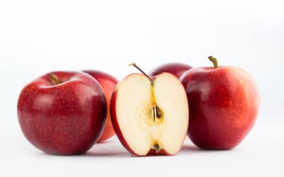 Educators Retiring in 2020